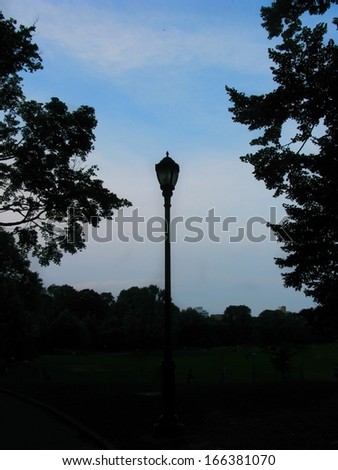 Silhouette of a lamp and foliage in Prospect Park, Brooklyn, NYC