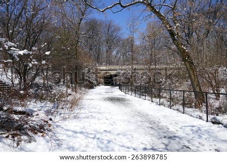Prospect Park, Brooklyn in the snow