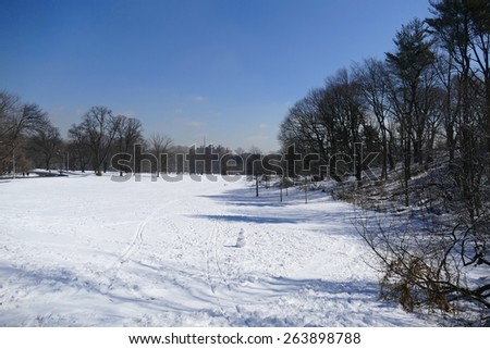 Prospect Park, Brooklyn in the snow