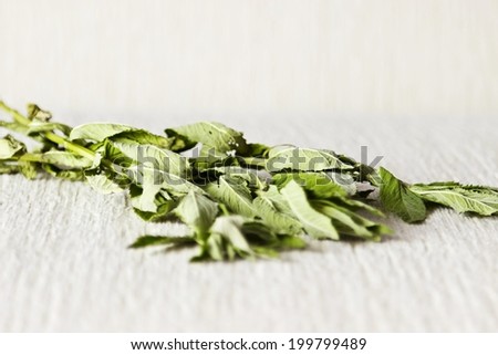 Fresh dry mint leaves close up on textured linen background. Selective focus