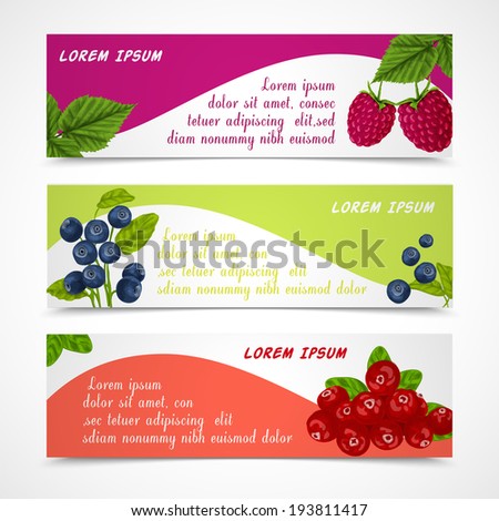 Natural organic forest berries banners set of raspberry blueberry cowberry design template vector illustration