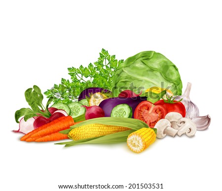 Fresh vegetable organic food set still life isolated on white background vector illustration.
