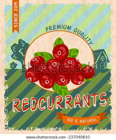 Natural fresh organic sweet garden red currant premium quality retro poster  illustration