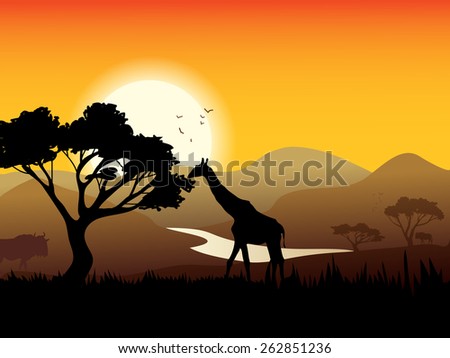 African landscape poster with acacia tree giraffe and sunset on background vector illustration
