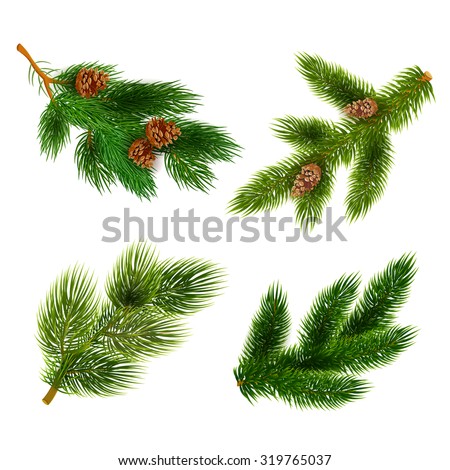 Pine tree branches with cones for chrismas decorations 4  icons set composition banner  realistic abstract vector illustration