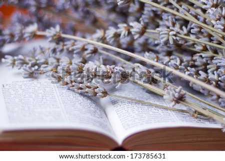 Dried lavenders on top of an old Bible.