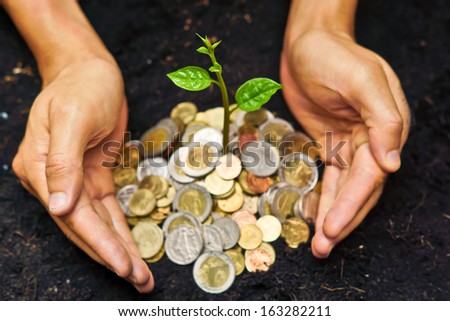 hands holding a young plant growing on coins / planting tree