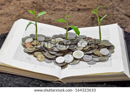 Trees growing on coins over the book / A big open book with coins and tree. \