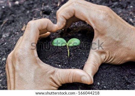 two hands forming a heart shape around a young plant / growing tree / save the world