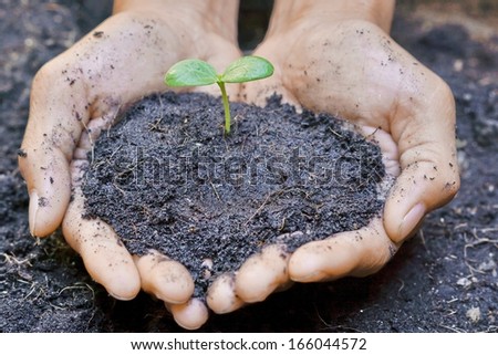 two hands holding, caring, and growing a tree