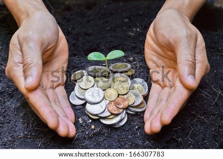 hands holding a tree growing on coins / save the world