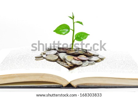 tree growing from books with coins / A big open book with coins and tree. 
