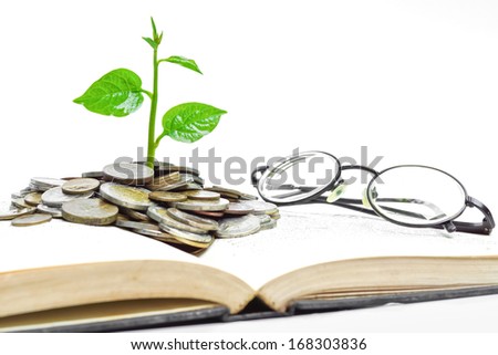 tree growing from books with coins and eye glasses / A big open book with coins and tree. \