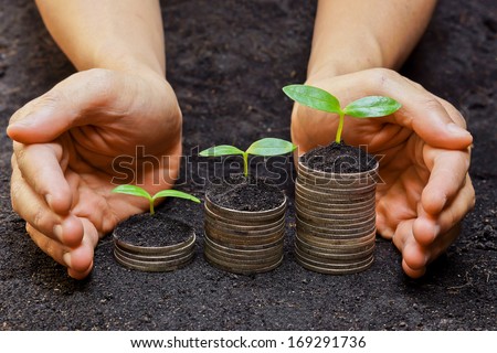 Hands Holding Tress Growing On Coins / Csr / Sustainable Development / Economic Growth / Trees Growing On Stack Of Coins