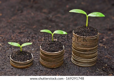 tress growing on coins / csr / sustainable development / economic growth /  trees growing on stack of coins