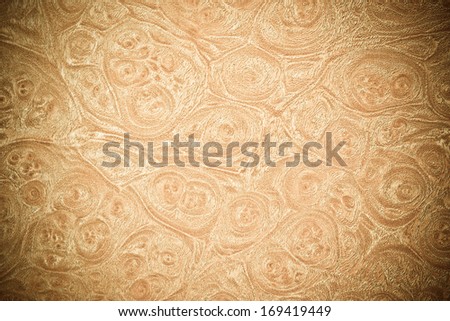 wood texture with natural wood ring patterns