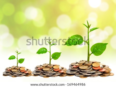 trees growing on coins / csr / sustainable development / trees growing on stack of coins