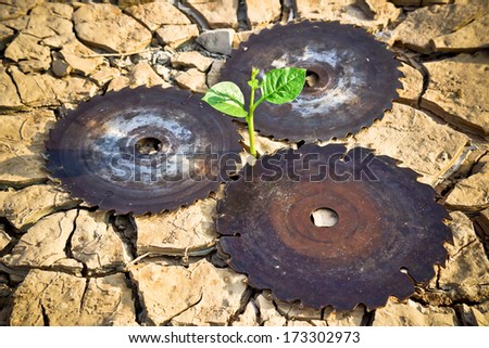 tree growing on cracked earth surrounded by saw blades / growing tree / save the world / environmental problems / growing tree / csr / natural destruction