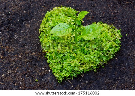 a tree arranged as a heart shape on cracked earth / growing tree / love nature / save the world / csr