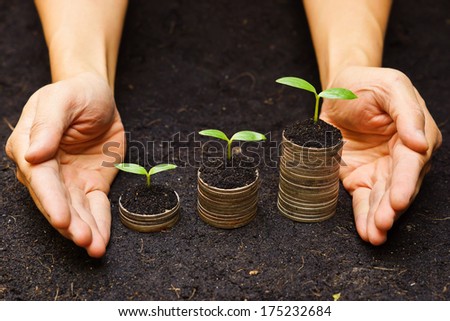 hands holding tress growing on coins / csr / sustainable development / economic growth / trees growing on stack of coins