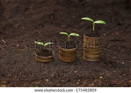 tress growing on coins / csr / sustainable development / economic growth / trees growing on stack of coins