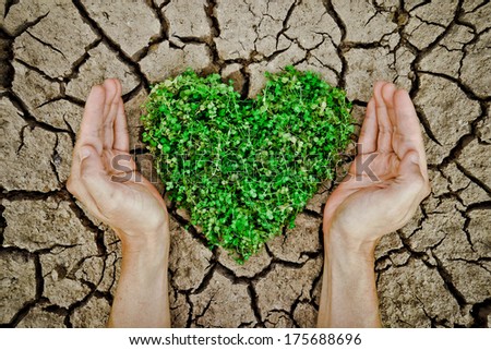 hands holdin a tree arranged as a heart shape on cracked earth / growing tree / love nature / save the world / csr