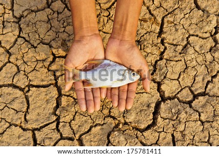hands holding fish over dried cracked earth / save animal life / drought / river dried up / natural disaster / global warming