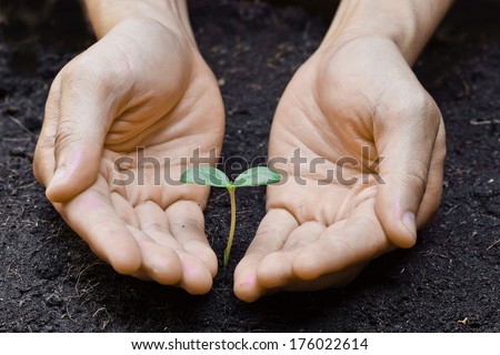farmer\'s hands growing a young tree / save the world / heal the world / love nature / environmental preservation
