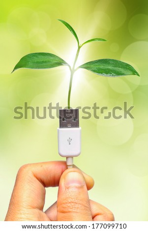 handing holding a tree growing on a usb cable / green IT / go green /