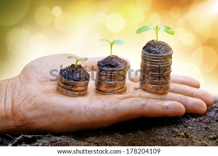 hands holding trees growing on three piles of coins / csr / sustainable development / tree growing on stack of coins
