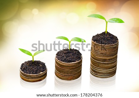 three trees growing on three piles of coins / csr / sustainable development / tree growing on stack of coins
