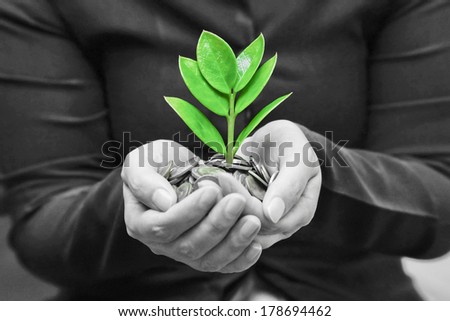 Palms with a tree growing from pile of coins supported by kid\'s hands /  hands giving a tree growing on coins to child\'s hands / csr
