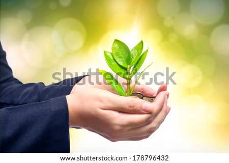 Palms with a tree growing from pile of coins /  hands holding a tree growing on coins / csr green business / business ethics