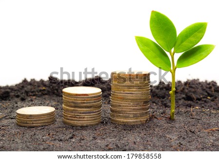 tree piles of coins with small trees csr good governance green business business ethics tree piles of coins with small trees csr good governance green business business ethics
