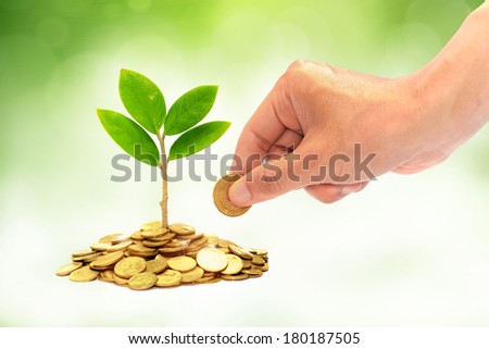 hand giving a golden coin to a tree growing from pile of coins / csr / green business / business ethics / good governance