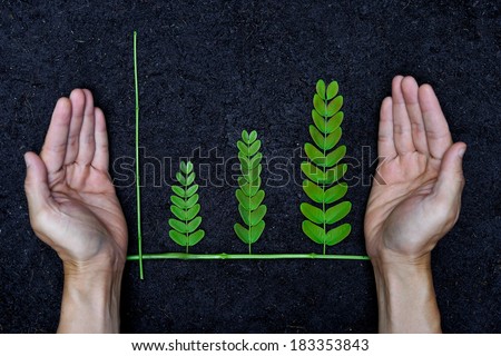 Hands holding tree arranged as a green graph on soil background / csr / sustainable development / planting a tree / corporate social responsibility