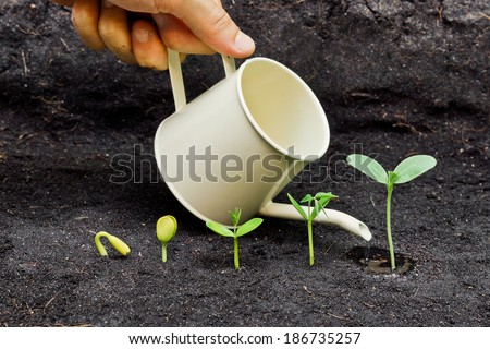hand watering plants growing in sequence of seed germination on soil, evolution concept