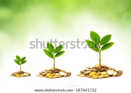 trees growing on piles of golden coins with green background