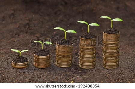 tress growing on coins / csr / sustainable development / economic growth / trees growing on stack of coins