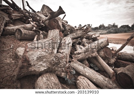 Deforestation - cutting down trees