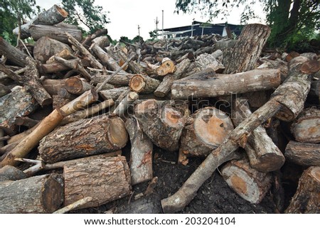 deforestation - cutting down trees