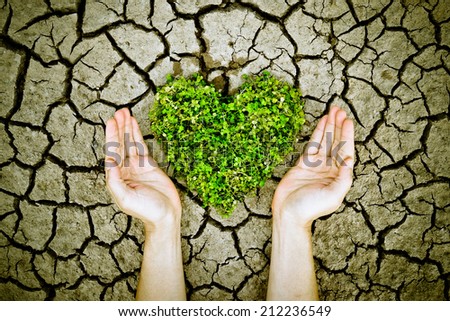 hands holding a tree arranged as a heart shape on cracked earth / growing tree / love nature / save the world / csr