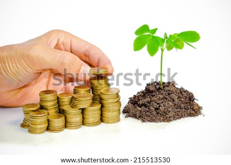 stacks of golden coins and a young tree - business with csr practice