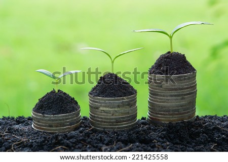 trees growing on coins / csr / sustainable development / economic growth / trees growing on stack of coins