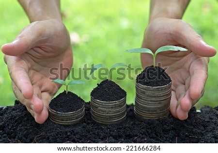 hands holding trees growing on coins / csr / sustainable development / economic growth / trees growing on stack of coins