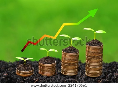 trees growing on coins with green graph / business with csr