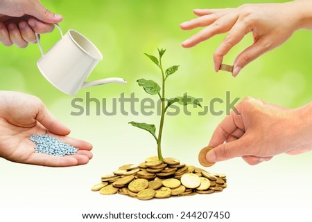 Cooperation - Hands helping planting trees growing on coins together with green background - Building business with csr and ethics