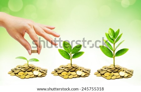 hand giving coins to trees growing on piles of golden coins / business growth with csr practice