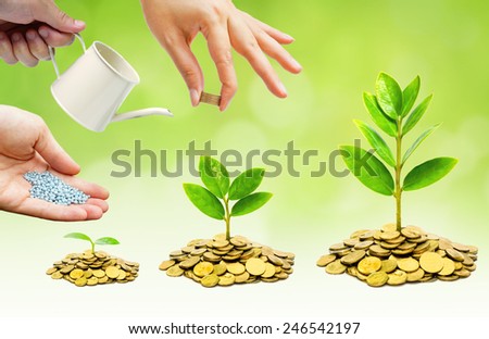 hands helping to grow trees on piles of golden coins / business with csr practice