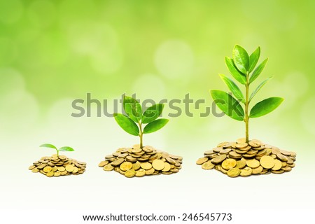 trees growing on coins / business with csr practice